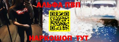 молекула духа Камышлов