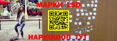молекула духа Камышлов