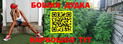 молекула духа Камышлов