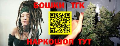 молекула духа Камышлов