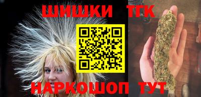 молекула духа Камышлов
