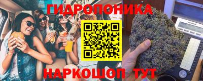 молекула духа Камышлов