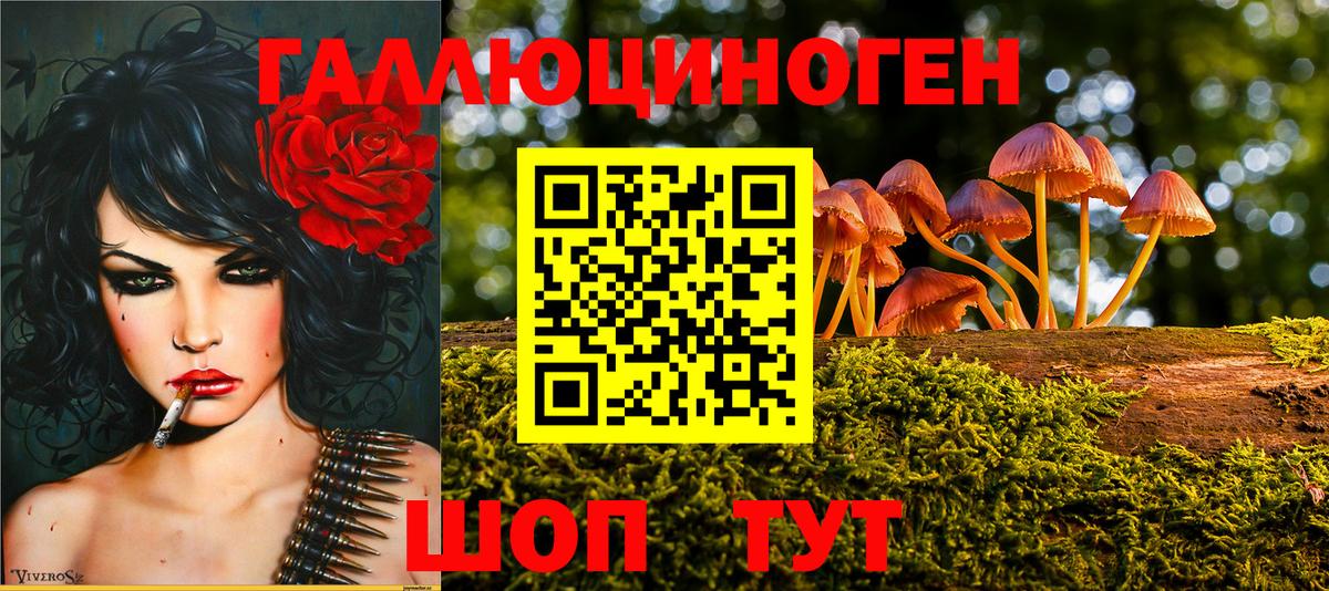 Псилоцибиновые грибы мицелий Ленинск-Кузнецкий