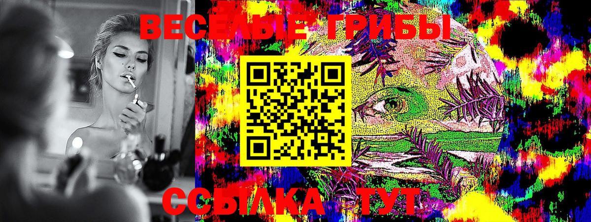 Ленинск-Кузнецкий  Псилоцибиновые грибы MAGIC MUSHROOMS  Галлюциногенные грибы MAGIC MUSHROOMS  Вход с VPN 